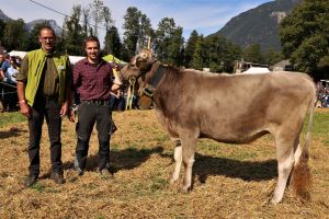 Vize Miss Rind Braunvieh GARDENA CH 120.1522.5444.0 Arnold-Fassbind Alois Bschberg 1 Haldi b. Schattdorf